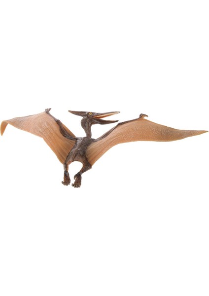 Mini Pterodactylus Model Hayvan Model Çocuk Partisi Vaka Oyuncak (Yurt Dışından)