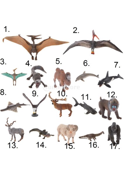 Mini Pterodactylus Model Hayvan Model Çocuk Partisi Vaka Oyuncak (Yurt Dışından)