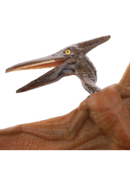Mini Pterodactylus Model Hayvan Model Çocuk Partisi Vaka Oyuncak (Yurt Dışından)