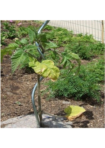 Spiral Pwc Bitki Destek Çubuğu 180CM 10'lu