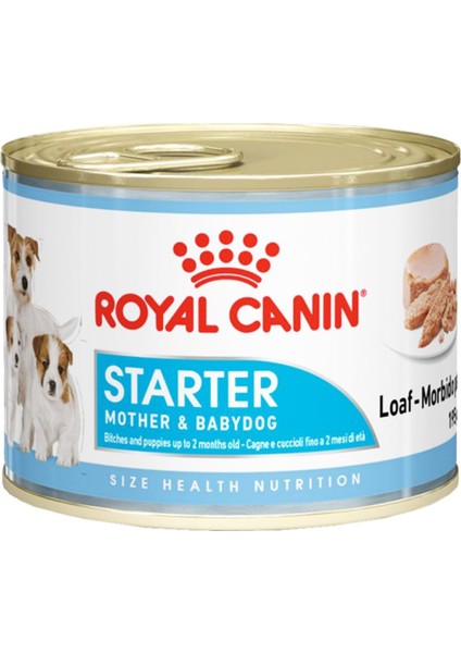 Starter Anne ve Yavru Köpek Konservesi 195GR