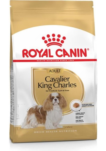 Cavalier King Charles 27 Yetişkin Köpek Maması 1,5kg