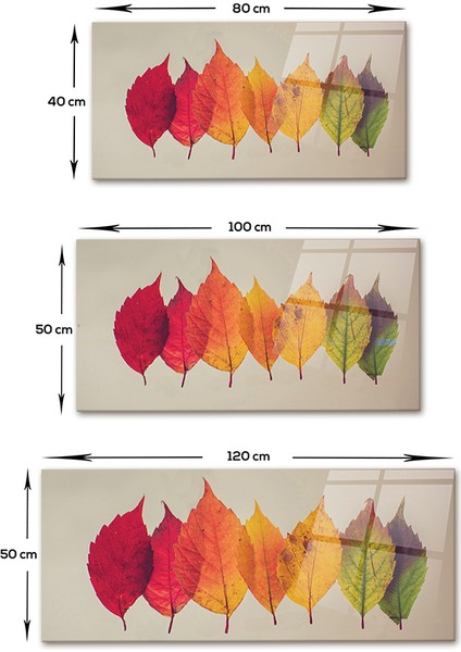 Cam Tablo | Yaprakların Renk Dönüşümü |