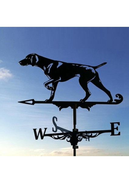 Weather Vane Profesyonel Siyah Hound Ev Bahçesi Pay (Yurt Dışından)