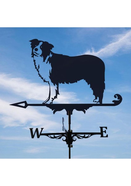 Hava Yözi Paslanmaz Çelik Weathervan Yard Bahçe Barn Süs Siyah Collies (Yurt Dışından) modelleri