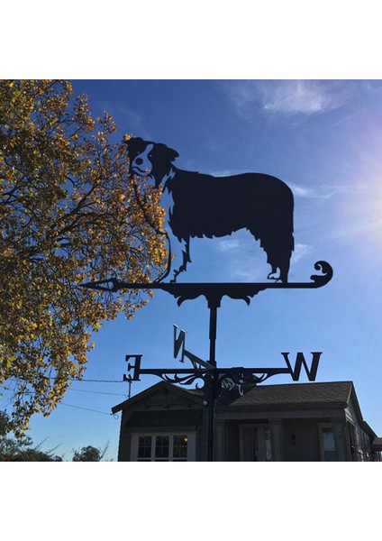 Hava Yözi Paslanmaz Çelik Weathervan Yard Bahçe Barn Süs Siyah Collies (Yurt Dışından) fırsatları