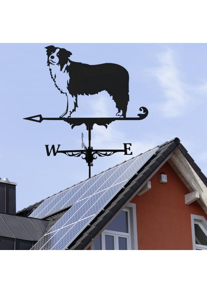 Hava Yözi Paslanmaz Çelik Weathervan Yard Bahçe Barn Süs Siyah Collies (Yurt Dışından) indirimleri