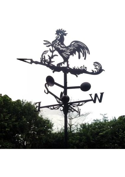 Vintage Weather Vane Rüzgar Yönü Göstergesi Bahçe Bahçe Kutbu (Yurt Dışından)