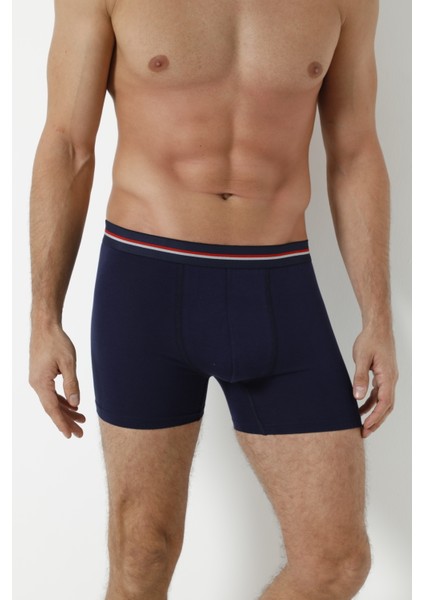 3'lü Boxer
