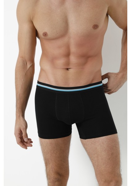6'lı Boxer