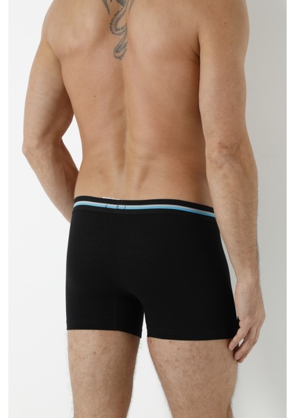 6'lı Boxer
