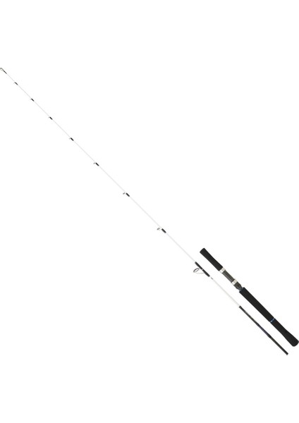 Saltist Bay Jigging 1.91M 60-150GR Slow Jig Kamışı