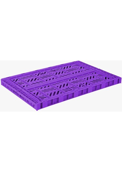 Aykasa 604022 Maxibox Violet Katlanabilir Kasa fiyatları