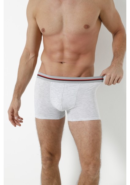 3'lü Boxer