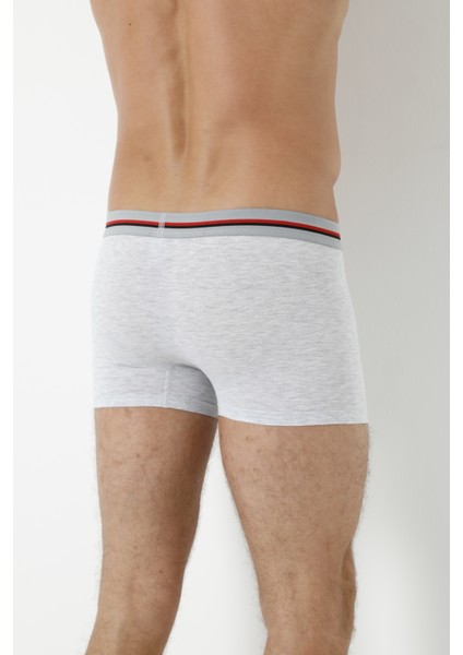 3'lü Boxer