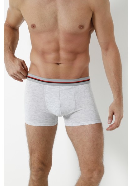 3'lü Boxer