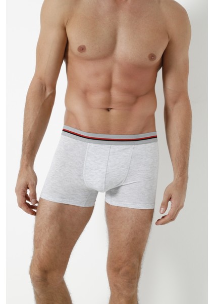 6'lı Boxer