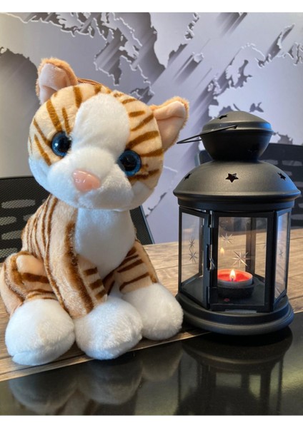 Krem Peluş Kedi 28CM