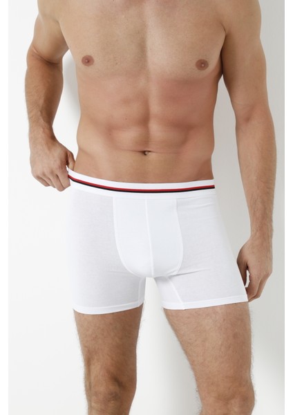 3'lü Boxer