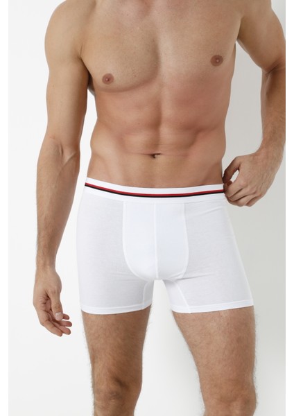 3'lü Boxer modelleri