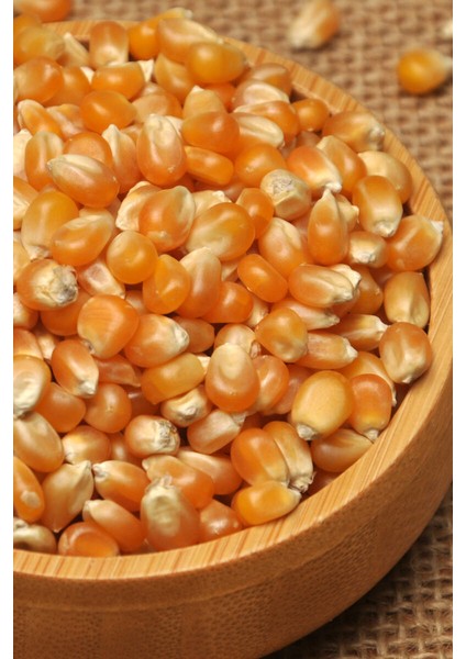 Popcorn Patlamış Mısır Cips 1 kg fiyatları