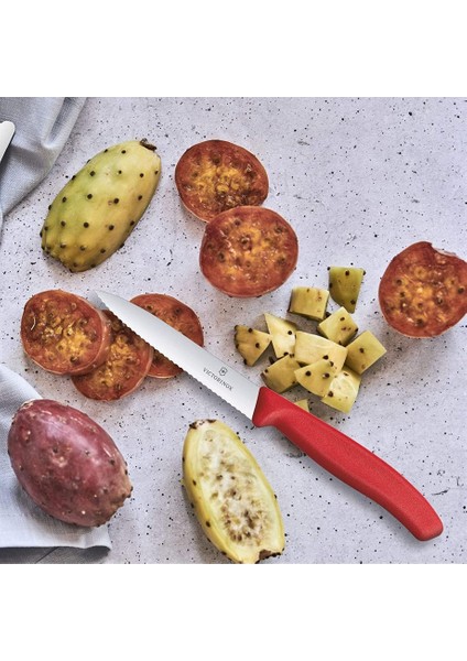 Evrekala Shop Victorinox Kırmızı Büyük Bıçak Seti 10 cm Special Edition 4'lü