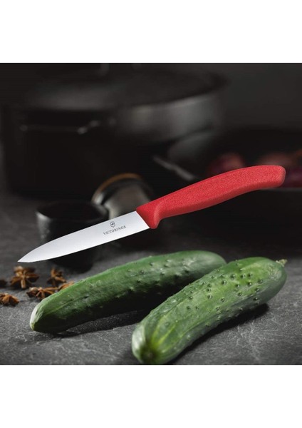 Evrekala Shop Victorinox 6'lı Büyük Bıçak Seti Düz 10 cm Red Series Soyma Bıçakları