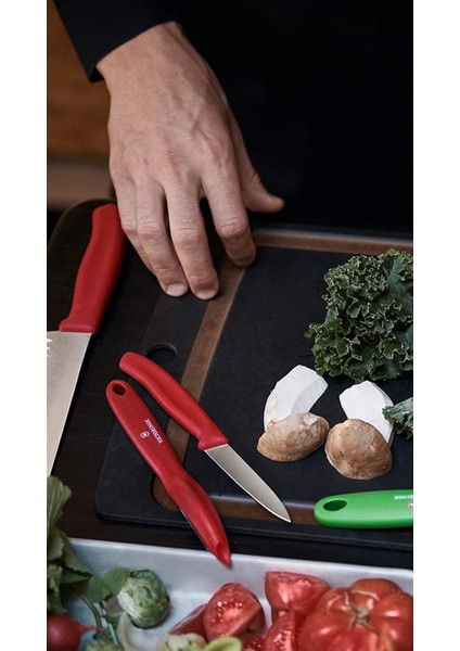 Evrekala Shop Victorinox 6'lı Büyük Bıçak Seti Düz 10 cm Red Series Soyma Bıçakları