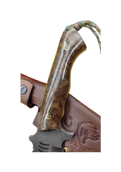 Shark Model Kamp Bıçağı