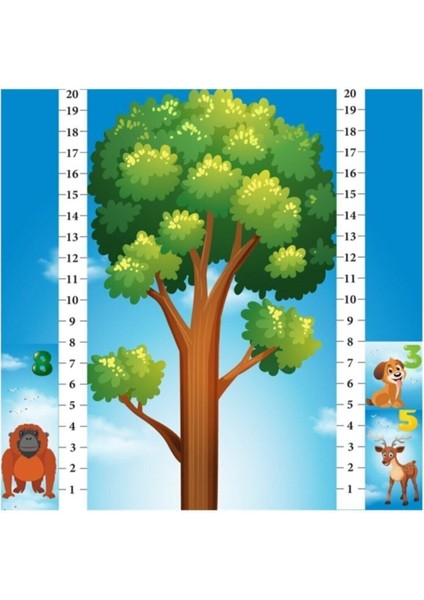 Math Forest Matematik Oyunu