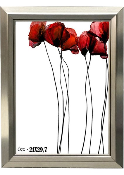 Hediyelik Çerçeve Dekorasyon Kişiye Özel Resim Çerçevesi A4 Diploma 21X29,7 Gümüş