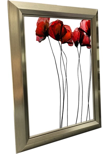 Hediyelik Çerçeve Dekorasyon Kişiye Özel Resim Çerçevesi A4 Diploma 21X29,7 Gümüş fiyatları