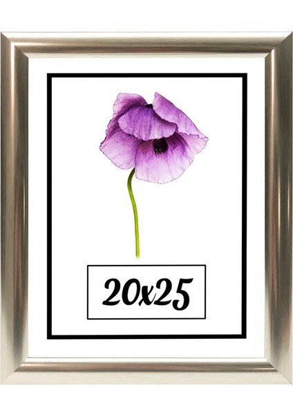 Hediyelik Çerçeve Ev Home Ofis Kişiye Özel Resim Çerçevesi Masaüstü 20X25