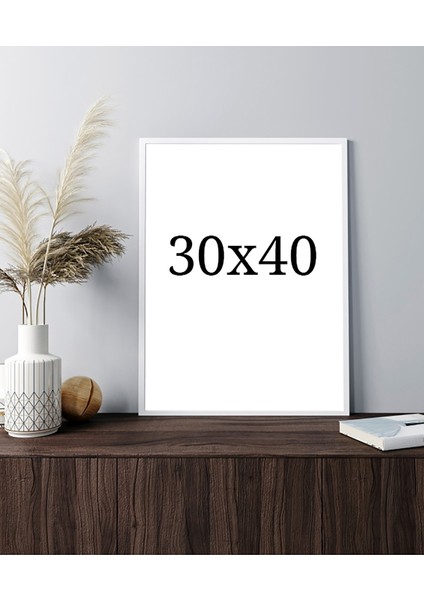 Özcanlar Dekorasyon Konsept Çoklu Çerçeveler Baskılar Baskı Seti Ev Dekoru Tablo Poster fiyatları