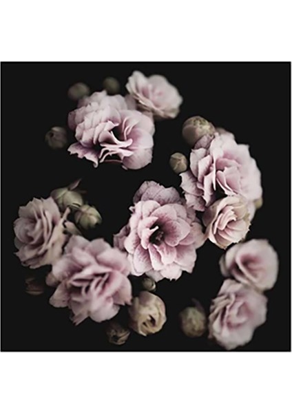 Özcanlar Dekorasyon Konsept Çoklu Çerçeveler Baskılar Baskı Seti Ev Dekoru modelleri