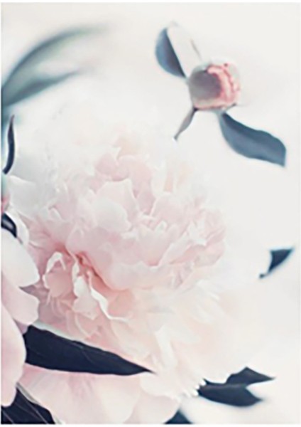 Özcanlar Dekorasyon Konsept Çoklu Çerçeveler Baskılar Baskı Seti Ev Dekoru fırsatları