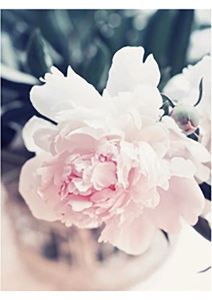 Özcanlar Dekorasyon Konsept Çoklu Çerçeveler Baskılar Baskı Seti Ev Dekoru indirimleri