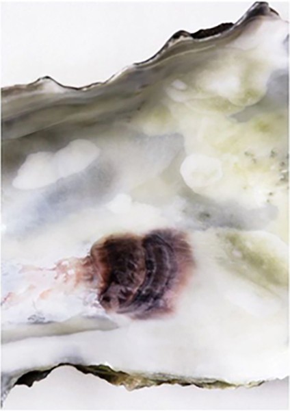 Özcanlar Dekorasyon Konsept Çoklu Çerçeveler Baskılar Baskı Seti Ev Dekoru Tablo Poster fırsatları