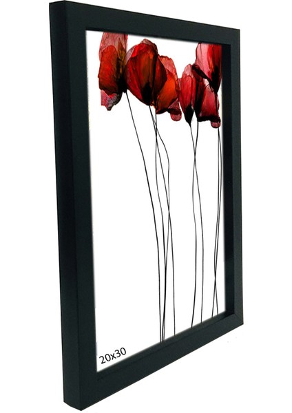 Hediyelik Çerçeve Ev Home Ofis Kişiye Özel Resim Çerçevesi Masaüstü 20X30 modelleri