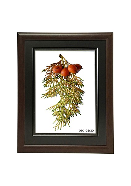 Hediyelik Çerçeve Ev Home Ofis Kişiye Özel Resim Çerçevesi Masaüstü 25X30