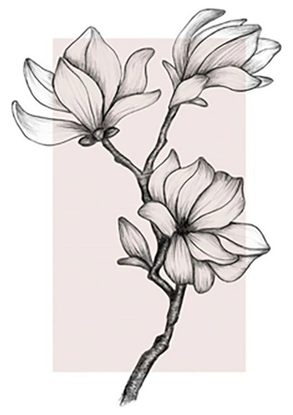 Özcanlar Dekorasyon Konsept Çoklu Çerçeveler Baskılar Baskı Seti Ev Dekoru Tablo Poster Hediye Ev Dizaynı Hediye Fikri modelleri