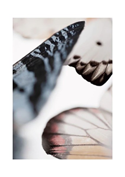 Özcanlar Dekorasyon Çoklu Çerçeveler Baskılar Baskı Seti Ev Dekoru Tablo modelleri