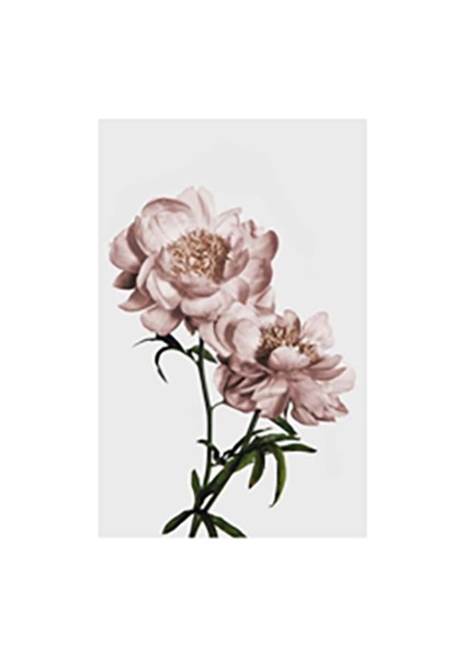 Özcanlar Dekorasyon Çoklu Çerçeveler Baskılar Baskı Seti Ev Dekoru Tablo indirimleri