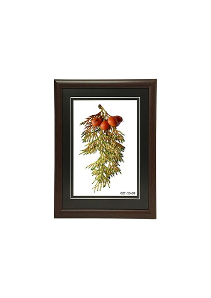 Hediyelik Çerçeve Ev Home Ofis Kişiye Özel Resim Çerçevesi Masaüstü 25X38