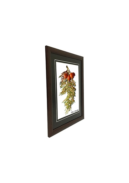 Hediyelik Çerçeve Ev Home Ofis Kişiye Özel Resim Çerçevesi Masaüstü 25X38 fiyatları