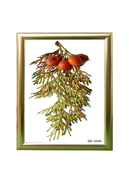 Hediyelik Çerçeve Ev Home Ofis Kişiye Özel Resim Çerçevesi Masaüstü 25X30