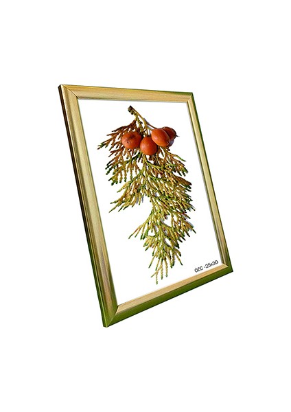 Hediyelik Çerçeve Ev Home Ofis Kişiye Özel Resim Çerçevesi Masaüstü 25X30 fiyatları