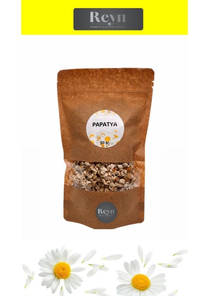 Papatya Kuru