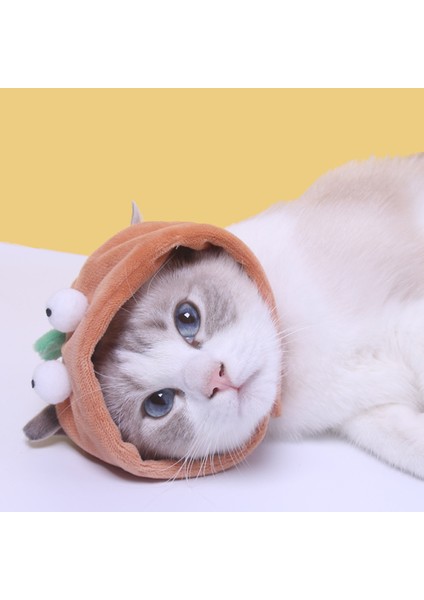 Dinozor Kedi Şapkası Evcil Hayvan Şapkası Evcil Hayvan Malzemeleri 10 x 11 x 35 cm. (Yurt Dışından) fiyatları