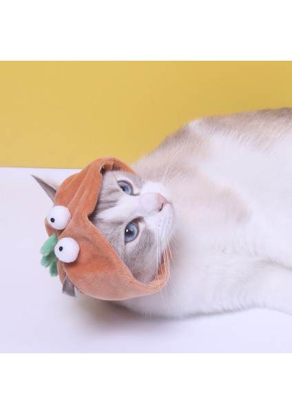 Dinozor Kedi Şapkası Evcil Hayvan Şapkası Evcil Hayvan Malzemeleri 10 x 11 x 35 cm. (Yurt Dışından) modelleri